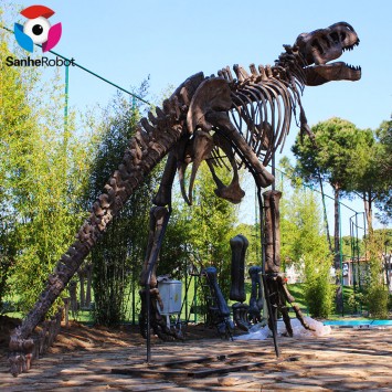 Продавам музеен скелет на динозавър в естествен размер