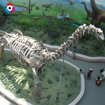 Jurassic dig Maroko fossiilsetest kividest dinosauruse skeleti valamu
