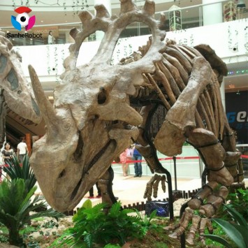 SH2-FF001 High quality large simulation fossil dinosaurs skeleton