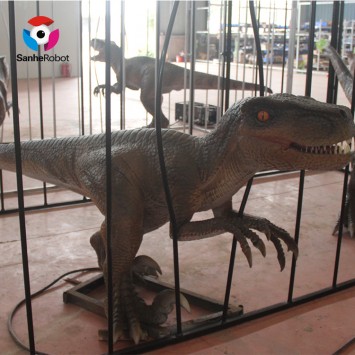 Dinosaur park exhibition animatronic dinosaur life size Velociraptor