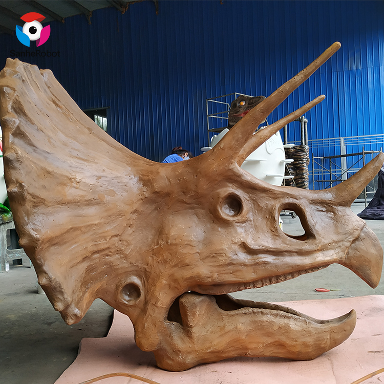 China Wholesale The Talking Tree Manufacturers Suppliers - Museum varies materials available Real size dinosaur head fossil  – Sanhe