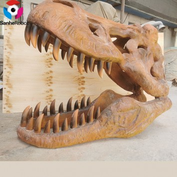 Zigong Sanhe Real Size Fiberglass Dinosaurs Skull Museum Life Triceratops Trex Dinosaur Skeleton and Head Replica