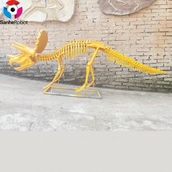 Zigong Sanhe Real Size Fiberglass Dinosaurs Skull Museum Life Triceratops Trex Dinosaur Skeleton and Head Replica