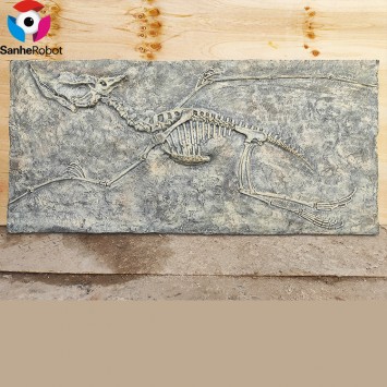 Dinosaur Excavation Life Size Museum Exhibit Fiberglass  Realistic Dinosaur Fossil Replica