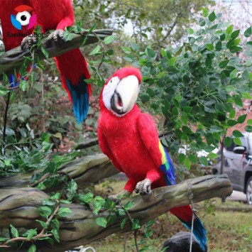 Animal Theme Park Decoration Real Animal Model Animatronic Bird Parrot