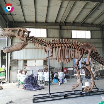 Life Size Dinosaur Fossil Skeleton Skull Fiberglass Dinosaur Realistic T rex skull
