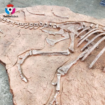 Other amusement park product simulation Tyrannosaurus rex excavation site