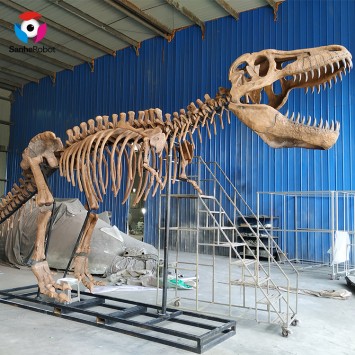 Life Size Artificial Fossil Dinosaur Skeleton Model