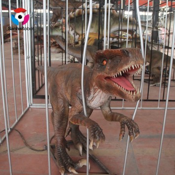 Dinosaur park exhibition animatronic dinosaur life size Velociraptor