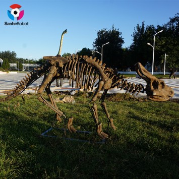 인공 발굴 화석 돌 쥐라 실물 크기 공룡 해골