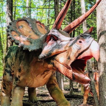 2022 Simulation Dinosaur Zigong Factory Life Size Dinosaur Sculptures Animatronic Dinosaur Triceratops