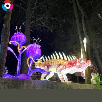Hand Made Chinese New Year Lantern Show LED China Silk Animal Lanterns for sale