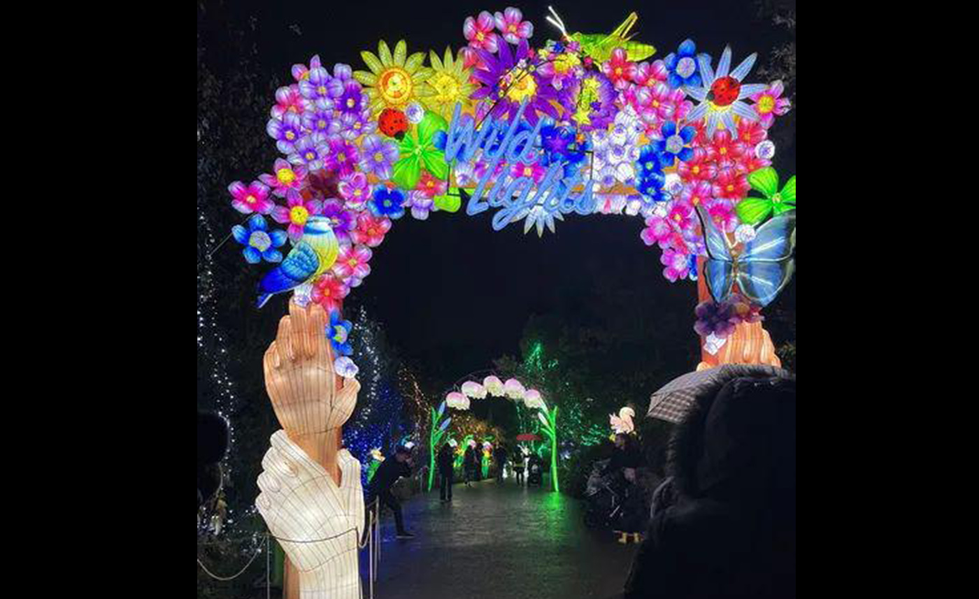 La 5ème exposition de lanternes chinoises "Wild Light" illumine l'Irlande