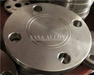 Inconel X750 Flanges