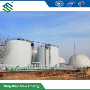Anaerobic Digester Plant for Chicken Manure Treatment