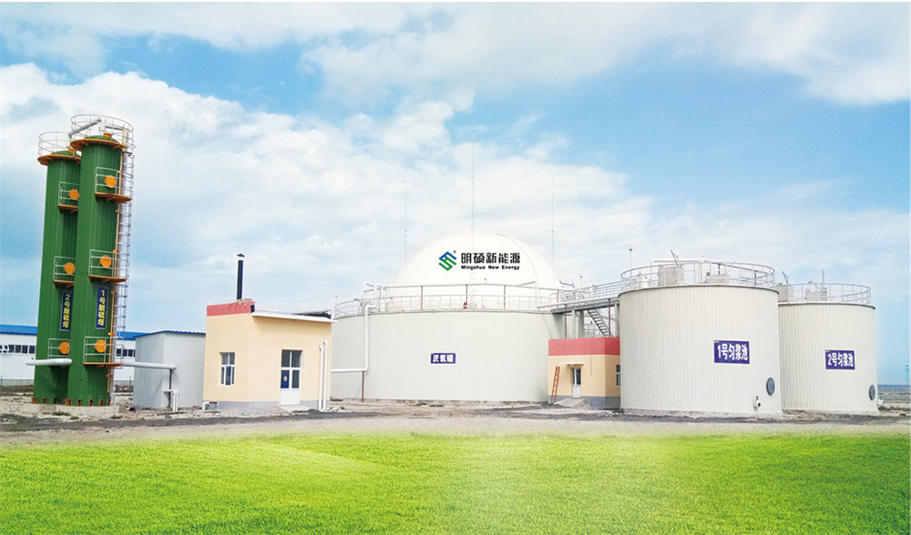 COFCO Biogas Plant for Pig Farm Manure Treatment