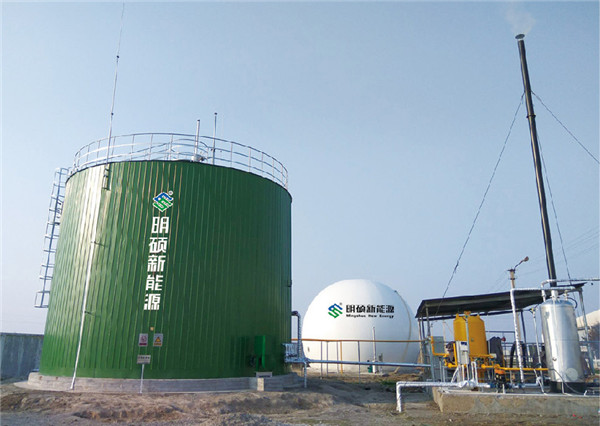 Agricultural Organic Waste Treatment Biogas Demonstration Plant