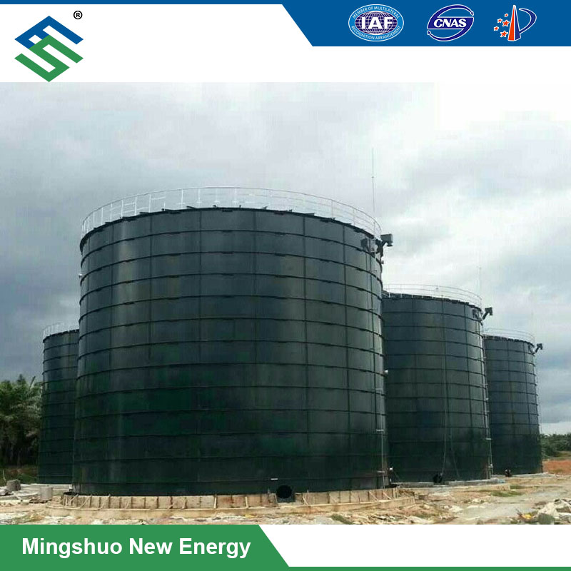 China wholesale Biogas Plant Supplier -
 Anaerobic Digester Plant for Chicken Manure Treatment – Mingshuo