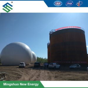 Fast delivery Food Waste Treatment -
 Double Membrane Gas Container for Biogas Storage – Mingshuo