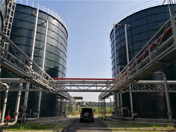 15000m³ Biogas Project in Malaysia for Palm Oil Treatment