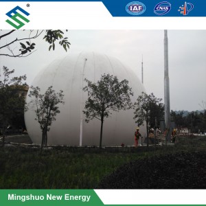 PVDF Biogas Storage Holder for Combined Heat and Power Project