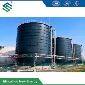 Enamel Large-Scale Anaerobic Digester Plant for Kitchen Waste Treatment