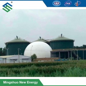 Loji Biogas Digester anaerobik untuk Pig Rawatan baja
