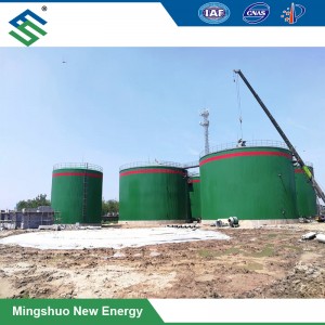 Large-Scale Biogas Plant for Organic Waste Treatment