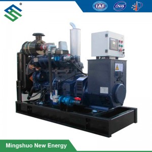Biogas Power Generator