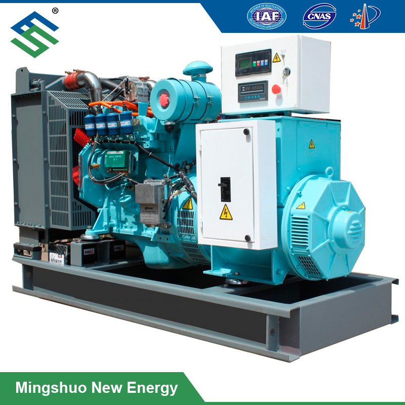 biogas gas generator (3)