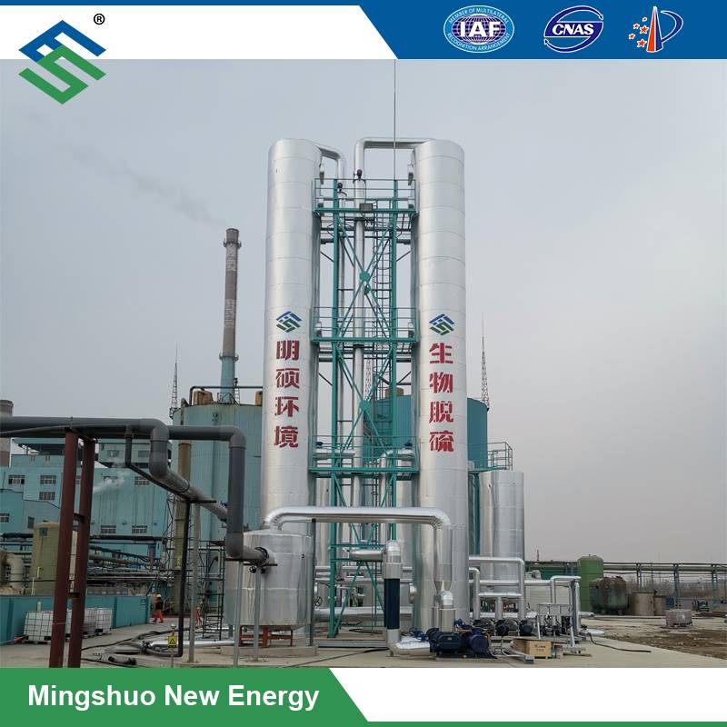 Short Lead Time for Biomass -
 Biological Desulfurization – Mingshuo