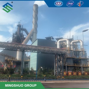 Blast Furnace Gas Desulfurization for Steel Making Mill