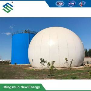 PVDF Biogas Storage Holder for Combined Heat and Power Project