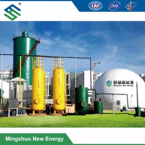 Double ulwelwesi negesi Isitsha for biogas Isitoreji