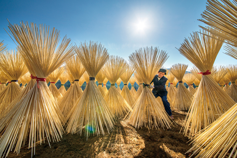 “Replacing Plastic With Bamboo” Is Becoming A Global Consensus