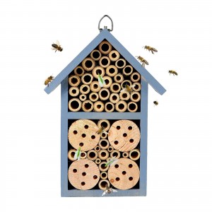 Shangrun Garden Decorative Habitat Bug Room ប្រអប់ដាក់សំបុកសម្រាប់ Ladybugs