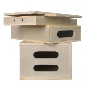 شنگرون 5 معیاری لکڑی کے ایپل بکس جس میں مقناطیسی ڈھکن ڈیزائن ملٹی فنکشنل لکڑی کے بکس