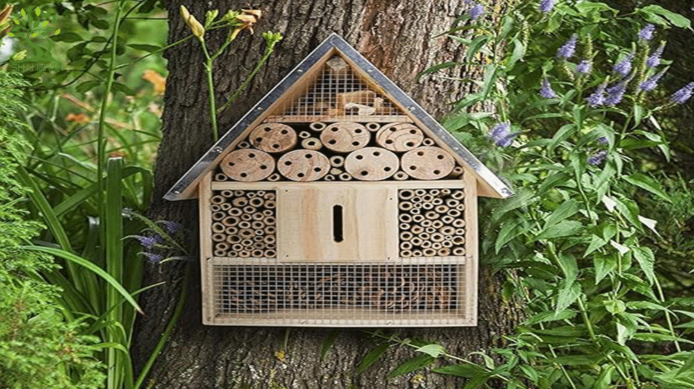 Take Your Children To Explore The Secrets Of Insects -Wooden Bee House