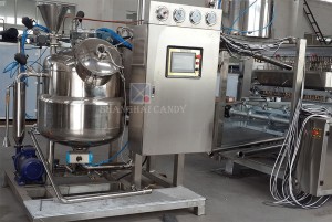 Pabrika presyo tuloy-tuloy na vacuum batch cooker