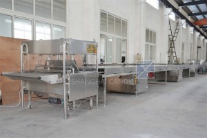 Hot sale China CE Approved Chocolate Bean Forming Machine