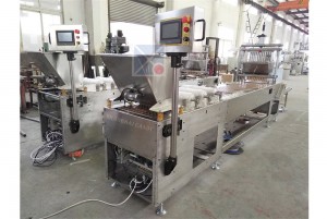 Hollow biscuit Chocolate filling injection machine