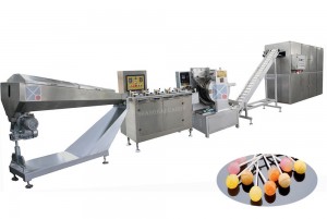 Nhà máy cung cấp dây chuyền sản xuất kẹo mút định hình