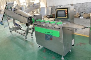 Hard candy processing line batch roller rope sizer machine