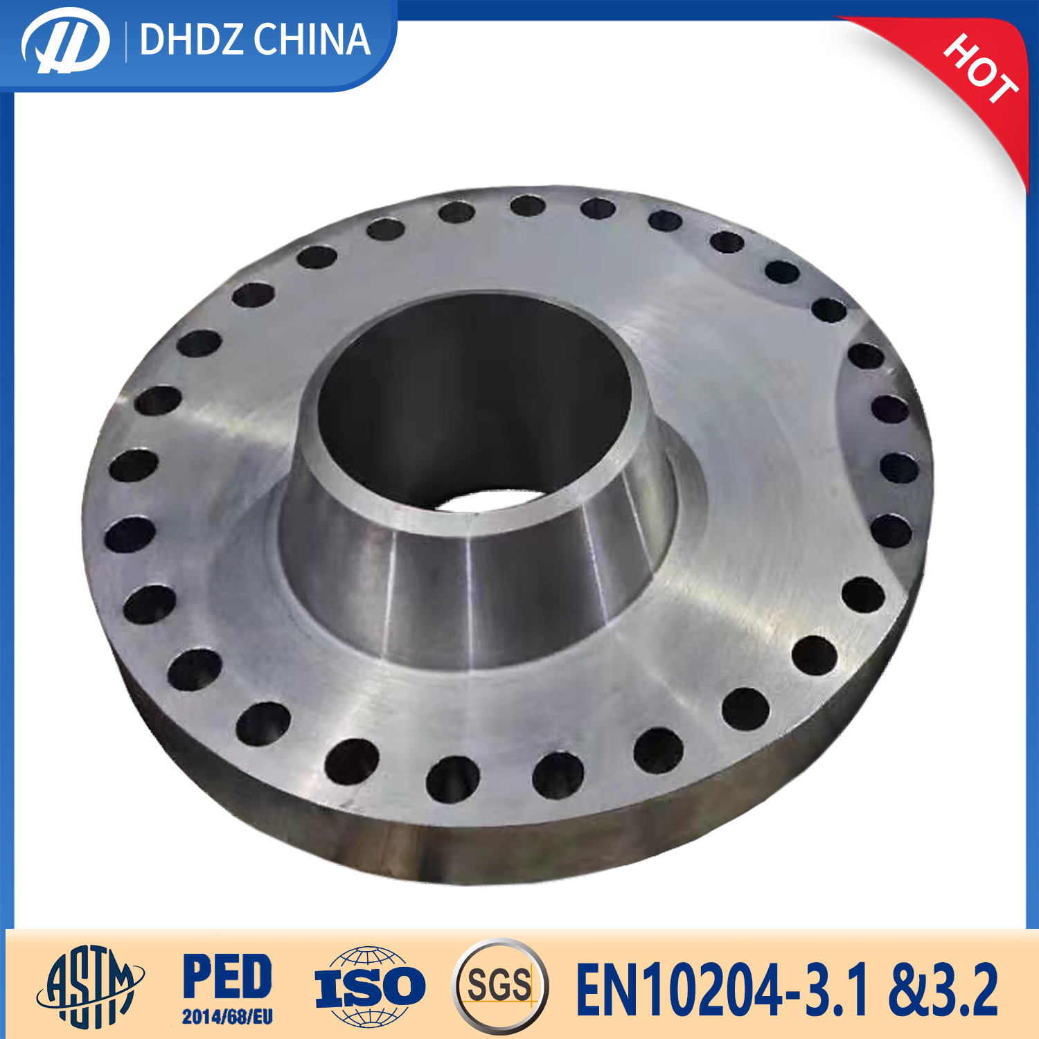 Europe style for Standard Blind Flange 10 Inch 300 - CUSTOM Forged Flange – DHDZ