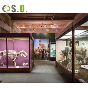 Showcase Adhesive Glass High-end Display Museum Pengeluar Kabinet paparan Muzium Kayu Stabil Tersuai