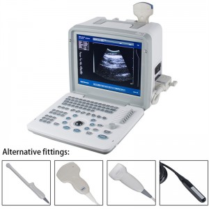 Čiernobiely ultrazvukový plne digitálny medicínsky prístrojový ultrazvukový diagnostický systém