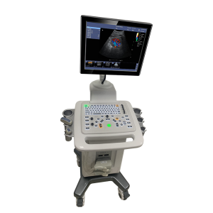 Doppler ultrases barlagy ulgamy LCD ýokary çözgütli lukmançylyk trolleý ultrases enjamy