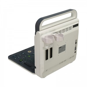 Draagbare ultrasone M60 scanner medische standaard medische apparatuur met werkstation