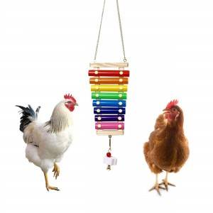 Bird Wood Iron xylophone pet chicken toys