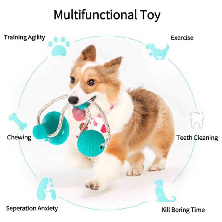 Manufacture OEM Wholesale Pet Molar Bite Toys for Dog Chew Toys TPR Cotton Rope Toys